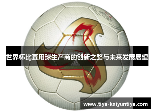 世界杯比赛用球生产商的创新之路与未来发展展望