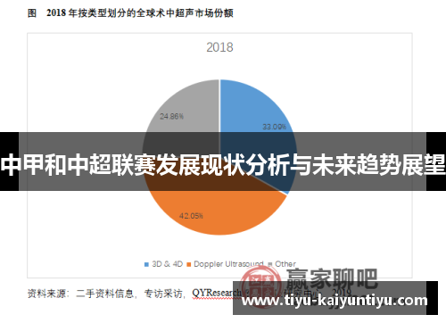 中甲和中超联赛发展现状分析与未来趋势展望