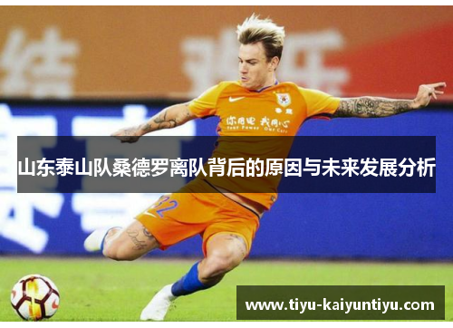 山东泰山队桑德罗离队背后的原因与未来发展分析