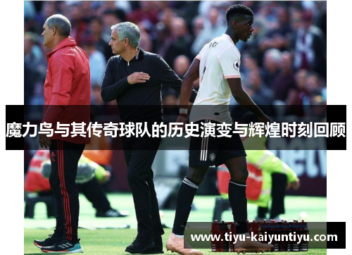 魔力鸟与其传奇球队的历史演变与辉煌时刻回顾