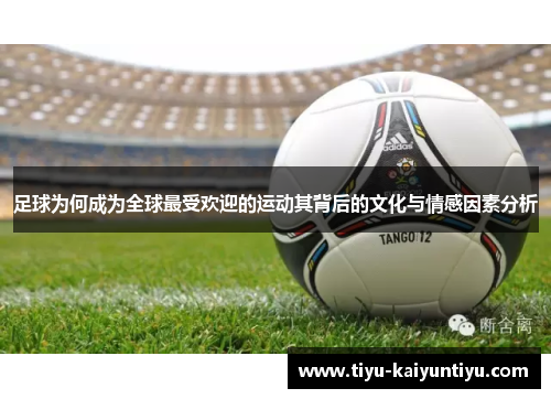 足球为何成为全球最受欢迎的运动其背后的文化与情感因素分析